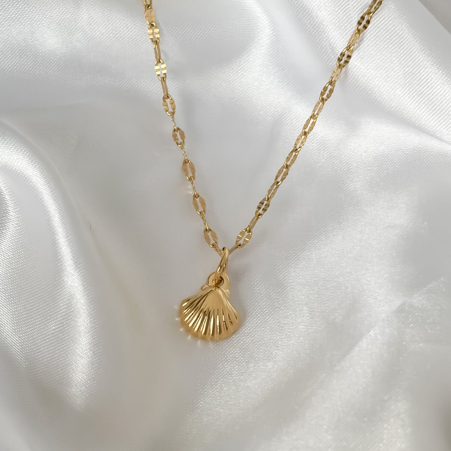 Seashell Necklace