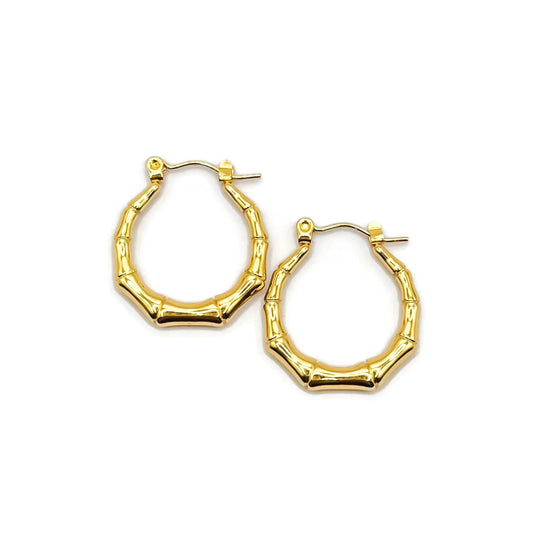 Leah Hoops